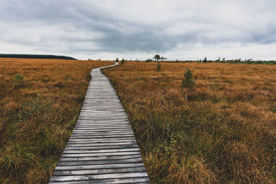 Wooden path in eifel nature park hohes venn.