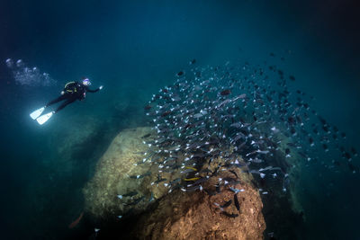 Person scuba diving undersea