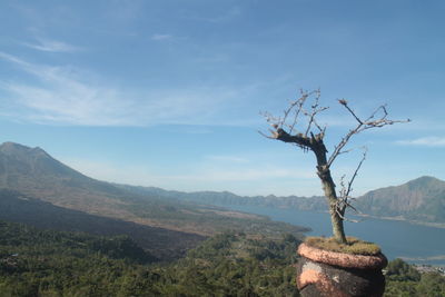 Scenic view of tree mountains against sky