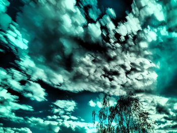 Low angle view of tree against sky