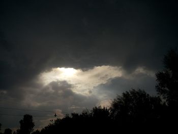 Low angle view of silhouette trees against sky