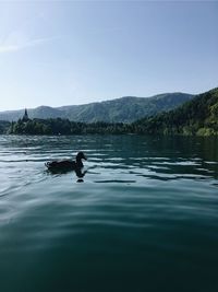 Man swimming in lake against sky