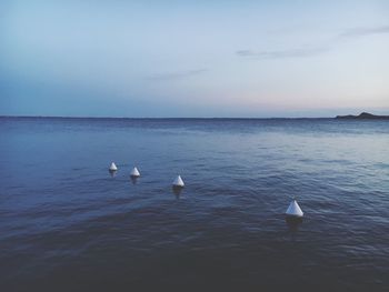 Swans swimming in lake against sky