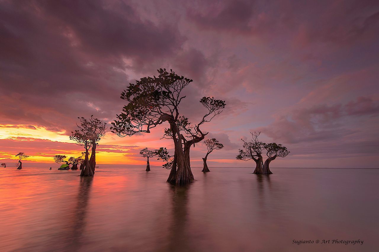 SCENIC VIEW OF SUNSET OVER SEA