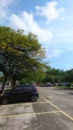 Car on road by trees against sky