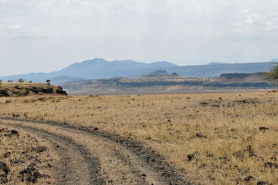 A dirt road against a savannah grassland background, lake magadi, rift valley, kenya