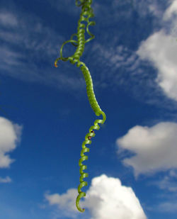 Low angle view of plant against cloudy sky