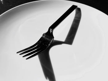 High angle view of leaf on table