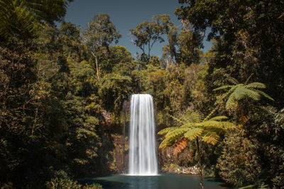 Waterfall in a tropical forest 