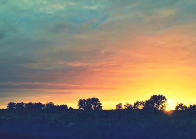 Silhouette trees against sky during sunset