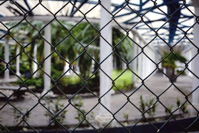 Close-up of chainlink fence