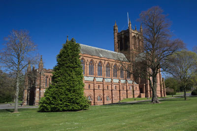 Trees and building against blue sky