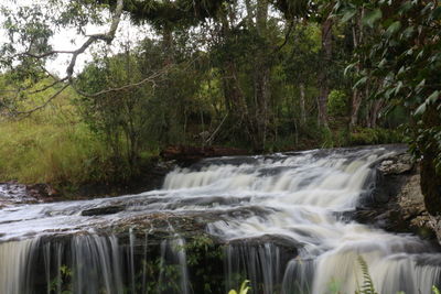 Scenic view of waterfall in forest