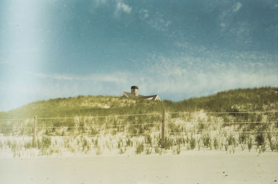 Man standing in a field
