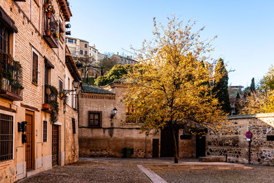 Yellow tree in medieval square in toledo during the autumn.