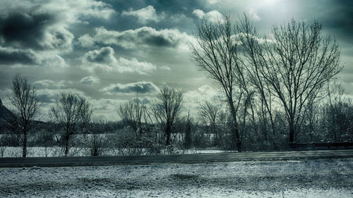 Bare trees on snow covered landscape