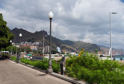 Plants and lamp posts by walkway against cloudy sky