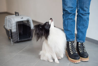 Low section of person standing on floor