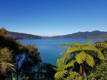 Scenic view of sea against clear blue sky