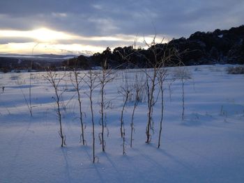 Scenic view of snow covered landscape