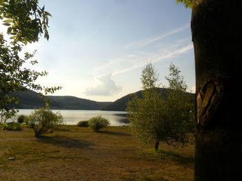 Scenic view of lake and trees against sky