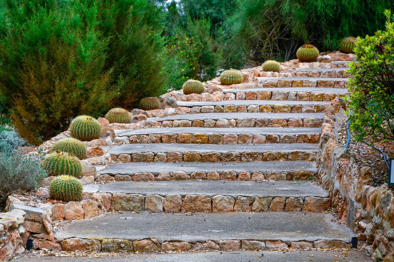 LOW ANGLE VIEW OF STONE STEPS