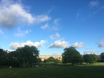 Scenic view of grassy field against cloudy sky