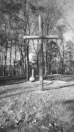 Bare trees against sky