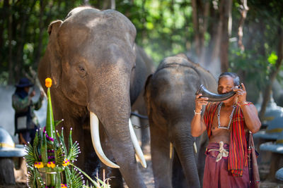 Close-up of elephant on plant against trees