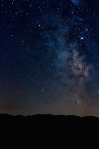Low angle view of silhouette trees against sky at night