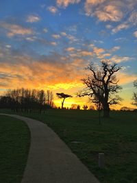 Road by trees against sky during sunset