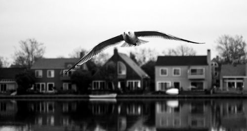 Buildings in a lake