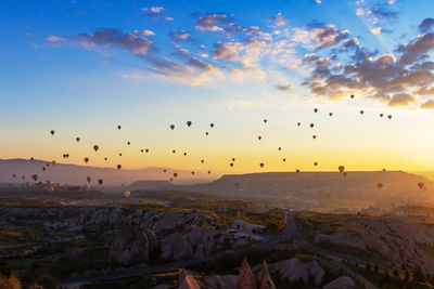 Flock of birds flying in sky