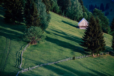 Scenic view of trees and houses on field