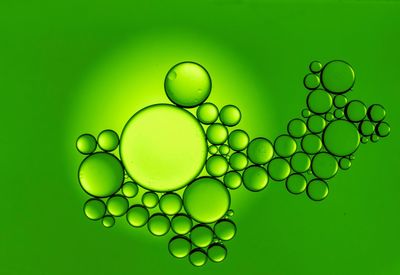 Close-up of green bubbles over water