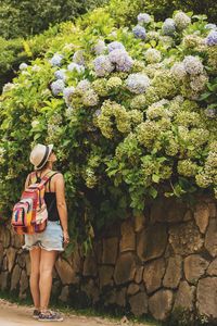 Rear view of woman looking at flowers on surrounding wall