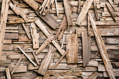 Full frame shot of wood in forest