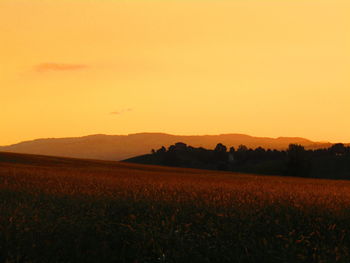 Scenic view of field against sky during sunset