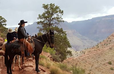 Cowboy riding horse