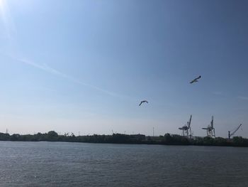 Birds flying over lake against sky