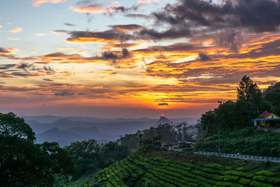 Scenic view of field against sky during sunset