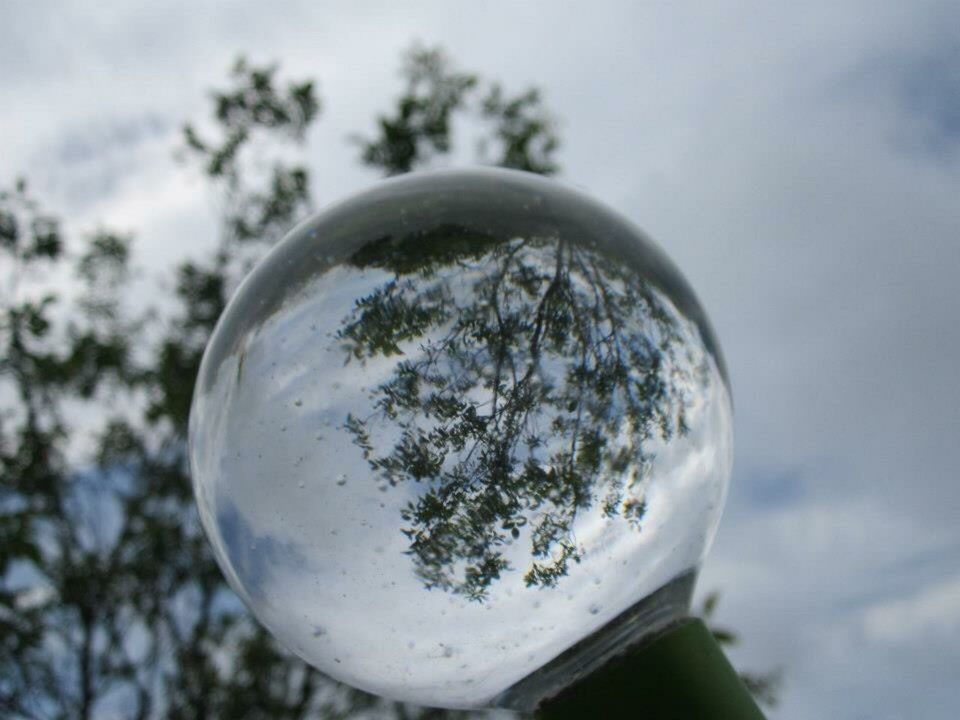 Tree upside down