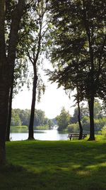 People sitting on field by trees