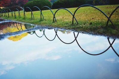 Reflection of trees in water