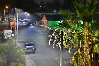 Road by palm trees in city against sky at night