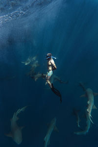 Mid adult man with nurse sharks in blue sea