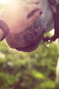 Close-up of woman in water