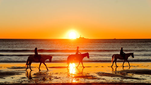 Silhouette female friends horseback riding on shore during sunset