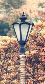 Low angle view of illuminated street light