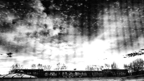 Silhouette of trees against cloudy sky